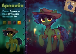 Size: 3379x2387 | Tagged: safe, artist:radioaxi, imported from derpibooru, oc, oc only, pony, unicorn, cowboy hat, cyrillic, hat, reference sheet, solo, translated in the comments