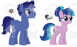 Size: 740x459 | Tagged: safe, artist:gaines, imported from derpibooru, oc, oc only, oc:dark decade, oc:twilight century, pegasus, pony, brother and sister, duo, duo male and female, female, male, mare, obtrusive watermark, offspring, old art, parent:flash sentry, parent:twilight sparkle, parents:flashlight, pegasus oc, siblings, simple background, stallion, toyhouse, toyhouse watermark, watermark, white background