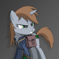 Size: 2000x2000 | Tagged: safe, artist:dddromm, imported from derpibooru, oc, oc only, oc:littlepip, pony, unicorn, fallout equestria, angry, bag, clothes, female, high res, jumpsuit, mare, pipbuck, saddle bag, solo, vault suit, wip