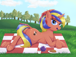 Size: 4000x3000 | Tagged: safe, artist:fdv.alekso, oc, oc:south sentinel, pony, unicorn, blue eyes, female, lying down, mare, solo, solo female