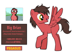 Size: 3774x2754 | Tagged: safe, artist:equestria secret guard, imported from derpibooru, oc, oc only, oc:big brian, pegasus, pony, banned from equestria daily, pony creator, chinese, male, pegasus oc, simple background, solo, stallion, transparent background