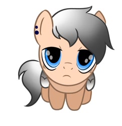 Size: 546x561 | Tagged: safe, alternate version, artist:foxx_grey_art, imported from derpibooru, oc, oc only, oc:colin grey, pegasus, pony, blue eyes, looking at you, looking up, looking up at you, pegasus oc, sad, simple background, sitting, white background