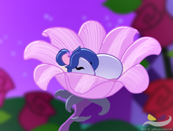Size: 1250x947 | Tagged: safe, artist:beauvoirferril0, artist:noir-b, imported from derpibooru, oc, oc:midnight melody, mouse, eyes closed, female, flower, flower in hair, rose, screencap background, sleeping, solo, species swap, watermark