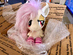 Size: 4032x3024 | Tagged: safe, artist:buttercupbabyppg, artist:natureshy, imported from derpibooru, fluttershy, bat pony, pony, bat ponified, box, clothes, flutterbat, high res, irl, photo, plushie, pony in a box, race swap, socks, solo, striped socks