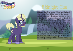 Size: 3014x2102 | Tagged: safe, artist:aleximusprime, imported from derpibooru, oc, oc only, oc:midnight hue, pony, unicorn, fanfic:my little sister is a dragon, bio, solo