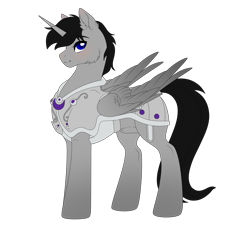 Size: 2563x2362 | Tagged: safe, artist:elberas, imported from derpibooru, oc, oc only, oc:hearts dalliance, alicorn, pony, armor, male, simple background, slim, solo, stallion, transparent background