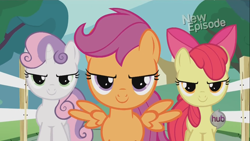 Size: 1366x768 | Tagged: safe, imported from derpibooru, screencap, apple bloom, scootaloo, sweetie belle, earth pony, pegasus, pony, unicorn, flight to the finish, season 4, cutie mark crusaders, female, filly, foal, hearts as strong as horses, narrowed eyes, new episode, spread wings, the hub, trio, wings