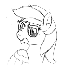 Size: 2200x2200 | Tagged: safe, artist:tigerbeetle, derpibooru exclusive, imported from derpibooru, rainbow dash, angry, disgusted, looking at you, monochrome, nose wrinkle, scowl, simple background, sketch, tongue out, white background, wings