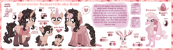 Size: 2410x700 | Tagged: safe, artist:jennieoo, imported from derpibooru, oc, oc:beauie, oc:belle, oc:brownbrier baskerville, dragon, pony, rabbit, unicorn, animal, antlers, bio, clothes, cutie mark, dress, egg, eyeshadow, female, filly, foal, gala dress, looking at you, makeup, reference sheet, scarf, show accurate, simple background, smiling, smiling at you, teenager, vector
