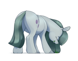 Size: 2639x2059 | Tagged: safe, artist:aquaticvibes, imported from derpibooru, marble pie, earth pony, pony, butt, cute, ear fluff, eyes closed, grazing, herbivore, horses doing horse things, marblebetes, plot, plump, simple background, solo, white background