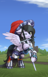 Size: 2496x4000 | Tagged: safe, artist:dipfanken, imported from derpibooru, oc, oc only, oc:tail, pegasus, pony, armor, clothed ponies, clothes, cute, greatsword, landsknecht, long tail, ocbetes, pegasus oc, raised hoof, solo, spread wings, sword, tail, weapon, wings, zweihander