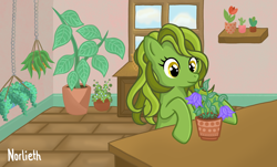 Size: 1788x1080 | Tagged: safe, artist:norlieth, imported from derpibooru, oc, oc only, earth pony, pony, digital art, earth pony oc, female, flower, full background, half body, herbs, pony oc, room, smiling, solo, window