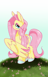 Size: 750x1185 | Tagged: safe, artist:pagophasia, derpibooru exclusive, imported from derpibooru, fluttershy, pegasus, pony, blushing, colored hooves, cute, daytime, female, flower, grass, impossibly long eyelashes, looking at you, shyabetes, solo, unshorn fetlocks, wings