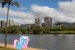 Size: 2048x1366 | Tagged: safe, artist:jaredking779, artist:vector-brony, imported from derpibooru, aloe, lotus blossom, earth pony, pony, female, hawaii, honolulu, irl, mare, palm tree, photo, ponies in real life, siblings, sisters, spa twins, tree