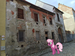 Size: 2048x1536 | Tagged: safe, artist:jaredking779, artist:silentmatten, imported from derpibooru, cheerilee, earth pony, pony, bratislava, female, irl, mare, photo, ponies in real life, slovakia, smiling, walking