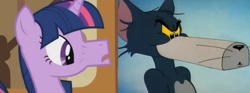 Size: 960x359 | Tagged: safe, edit, edited screencap, imported from derpibooru, screencap, twilight sparkle, cat, pony, unicorn, season 1, coincidence i think not, comparison, faic, female, g4, male, muzzle, tom and jerry, tom cat, unicorn twilight