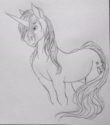 Size: 2408x2734 | Tagged: safe, artist:crazyaniknowit, imported from derpibooru, shining armor, pony, high res, monochrome, solo, traditional art
