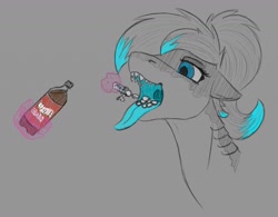 Size: 1280x996 | Tagged: safe, artist:stray prey, imported from derpibooru, oc, oc only, oc:lacera viscera, original species, pony, shark, shark pony, eating, food, gills, mawshot, mentos, mentos and diet coke, open mouth, soda, solo, sternocleidomastoid