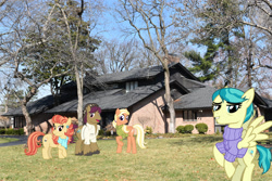 Size: 2048x1365 | Tagged: safe, artist:cheezedoodle96, edit, imported from derpibooru, aunt holiday, auntie lofty, mane allgood, snap shutter, earth pony, pegasus, pony, brother and sister, clothes, female, hat, irl, kansas city, male, missouri, photo, ponies in real life, scarf, shirt, siblings, stallion, story included, sweater