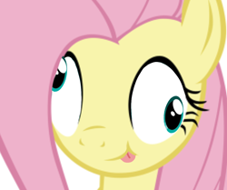 Size: 1198x1000 | Tagged: safe, imported from derpibooru, fluttershy, pegasus, pony, :p, derp, female, silly, silly pony, simple background, solo, tongue out, white background