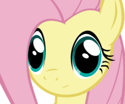 Size: 1198x1000 | Tagged: safe, imported from derpibooru, fluttershy, :/, female, simple background, solo, white background