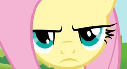 Size: 20000x10863 | Tagged: safe, imported from derpibooru, screencap, fluttershy, absurd resolution, angry, close-up, episode needed, fluttershy is not amused, frown, needs more jpeg, solo, unamused, upscaled, zoomed in