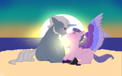 Size: 5000x3125 | Tagged: safe, artist:faeldra, imported from derpibooru, queen haven, pegasus, pony, unicorn, alphabittle blossomforth, alphahaven, beach, beard, colored wings, facial hair, female, g5, goatee, looking at each other, looking at someone, male, mare, multicolored wings, shipping, shipping fuel, spread wings, stallion, straight, sun, sunset, unshorn fetlocks, wings