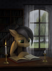 Size: 2000x2716 | Tagged: safe, artist:magfen, imported from derpibooru, oc, oc only, earth pony, pony, book, bookshelf, candle, earth pony oc, fanfic, fanfic art, fanfic cover, solo, tree, weeping willow, window