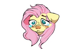 Size: 1500x1000 | Tagged: safe, artist:ametffe, imported from derpibooru, fluttershy, pegasus, pony, bust, crying, simple background, white background