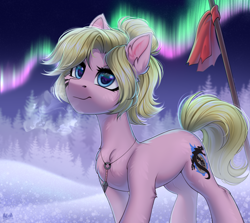 Size: 2800x2500 | Tagged: safe, artist:hakaina, imported from derpibooru, oc, oc only, oc:kara waypoint, pony, aurora borealis, female, forest, jewelry, mare, necklace, scenery, snow, spear, weapon