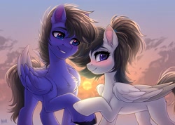 Size: 3500x2486 | Tagged: safe, artist:hakaina, imported from derpibooru, oc, oc only, pegasus, pony, blushing, chest fluff, duo, ear fluff, folded wings, looking at someone, pegasus oc, smiling, sun, unshorn fetlocks, wings