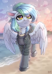 Size: 1750x2465 | Tagged: safe, artist:hakaina, imported from derpibooru, oc, oc only, oc:siriusnavigator, pegasus, pony, beach, clothes, commission, jacket, ocean, partially open wings, pegasus oc, shoes, solo, water, wings, ych result