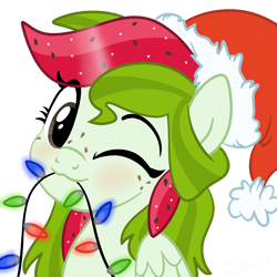 Size: 4096x4096 | Tagged: safe, artist:sjart117, imported from derpibooru, oc, oc only, oc:watermelana, pegasus, pony, :3, bust, christmas, christmas lights, female, freckles, hat, holiday, mare, mouth hold, one eye closed, portrait, santa hat, simple background, solo, transparent background, wings, wink