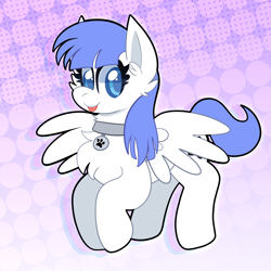 Size: 2000x2000 | Tagged: safe, artist:saveraedae, imported from derpibooru, oc, oc:snow pup, pegasus, pony, :p, collar, commission, female, flying, mare, solo, tongue out