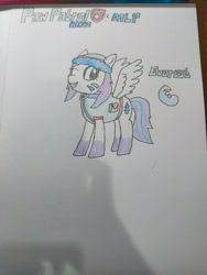 Size: 1200x1600 | Tagged: safe, imported from derpibooru, pegasus, pony, clothes, everest (paw patrol), female, hat, jacket, mare, paw patrol, ponified, traditional art