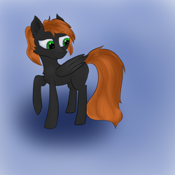 Size: 4000x4000 | Tagged: safe, artist:pfych0, oc, oc only, oc:carbo jardonov, pegasus, pony, absurd resolution, chest fluff, ear fluff, folded wings, male, raised hoof, solo, stallion, wings