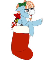 Size: 1000x1300 | Tagged: safe, artist:gray star, imported from derpibooru, oc, oc only, oc:solstice breeze, pegasus, pony, bald face, blaze (coat marking), candy, candy cane, christmas, christmas stocking, clothes, coat markings, colored hooves, colored wings, facial markings, food, glasses, heart, heart eyes, hearth's warming eve, holiday, male, pale belly, simple background, smiling, solo, stallion, transparent background, two toned wings, unshorn fetlocks, wingding eyes, wings
