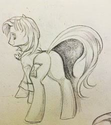 Size: 2268x2567 | Tagged: safe, artist:tulidewo, imported from derpibooru, doctor whooves, time turner, earth pony, pony, butt, fifth doctor, high res, male, plot, sketch, solo, stallion, traditional art