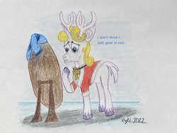 Size: 4032x3024 | Tagged: safe, artist:opti, imported from derpibooru, oc, oc:guiding light, deer, reindeer, deerified, female, mirror, reindeerified, solo, species swap, traditional art