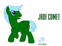 Size: 1083x809 | Tagged: safe, artist:discordant creations, imported from derpibooru, oc, oc only, oc:jade comet, pegasus, pony, male, pegasus oc, reference sheet, secret santa, simple background, solo, stallion, transparent background