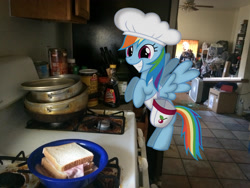Size: 3264x2448 | Tagged: safe, artist:crusierpl, artist:tmntmlp4ever2000, imported from derpibooru, rainbow dash, pegasus, pony, apron, chef's hat, clothes, female, food, hat, high res, irl, mare, photo, ponies in real life, sandwich, solo, vector