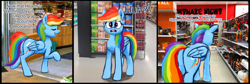 Size: 6040x2028 | Tagged: safe, artist:phutashi, imported from derpibooru, rainbow dash, pegasus, pony, absurd file size, butt, christmas, comic, decoration, dialogue, female, frown, halloween, high res, holiday, irl, mare, photo, plot, ponies in real life, rainbutt dash, store, talking