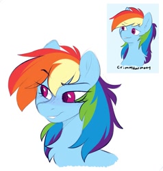 Size: 887x932 | Tagged: safe, artist:chub-wub, artist:crimmharmony, imported from derpibooru, rainbow dash, pegasus, pony, bust, chest fluff, portrait, reference used, simple background, solo, style emulation, white background