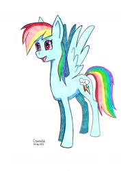 Size: 1300x1839 | Tagged: safe, artist:strategeak, imported from derpibooru, rainbow dash, pegasus, pony, simple background, solo, traditional art, white background