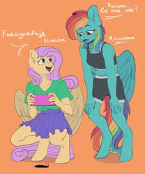 Size: 1707x2048 | Tagged: safe, artist:chibadeer, imported from derpibooru, fluttershy, rainbow dash, anthro, pegasus, slug, unguligrade anthro, cellphone, clothes, duo, female, looking at each other, looking at someone, orange background, phone, polish, simple background, smartphone, squatting, standing, talking, translated in the comments, vulgar