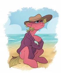 Size: 1706x2048 | Tagged: safe, artist:chibadeer, imported from derpibooru, oc, oc only, earth pony, pony, beach, clothes, floppy ears, hat, solo, sweater