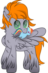 Size: 2039x3091 | Tagged: safe, artist:lincolnbrewsterfan, derpibooru exclusive, imported from derpibooru, rainbow dash, oc, oc:dreamy orange, pegasus, pony, derpibooru community collaboration, 2023 community collab, butt fluff, chest fluff, chin fluff, cloud, cute, cute face, cute smile, ear fluff, female, fluffy mane, fluffy tail, green eyes, grooming, holding, looking at you, male, mare, mouth hold, multicolored mane, multicolored tail, neck fluff, ocbetes, one wing out, orange mane, orange tail, pegasus oc, plushie, preening, rainbow dash plushie, simple background, smiling, smiling at you, solo, spread wings, stallion, stallion oc, striped mane, striped tail, tail, transparent background, unshorn fetlocks, wing fluff, wings