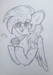 Size: 2737x3853 | Tagged: safe, artist:starkey, imported from derpibooru, derpy hooves, pegasus, pony, bust, chest fluff, ear fluff, fluffy, food, grin, monochrome, muffin, portrait, sketch, smiling, solo, traditional art