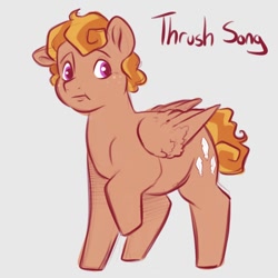 Size: 768x768 | Tagged: safe, artist:smirk, imported from derpibooru, oc, oc:thrush song, pegasus, chubby, curly hair, freckles, male, pegasus oc, simple background, solo, stallion