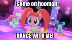Size: 800x450 | Tagged: safe, edit, edited screencap, editor:undeadponysoldier, imported from ponybooru, screencap, azure velour, flashdancer, pacific glow, earth pony, pony, animated, breaking the fourth wall, cute, dance floor, dancing, discovery family logo, edited gif, female, flexible, fun, happy, implied human, intentional spelling error, looking at you, low effort caption, mare, misspelling, pigtails, tail whip, talking to viewer, tap dancing